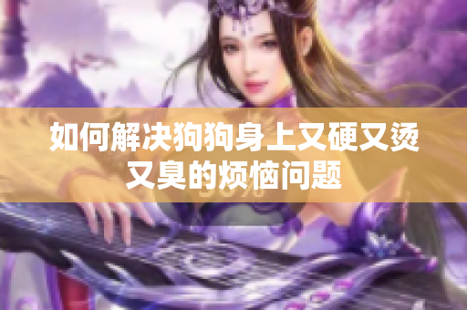 如何解决狗狗身上又硬又烫又臭的烦恼问题