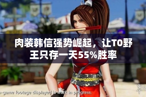 肉装韩信强势崛起，让T0野王只存一天55%胜率