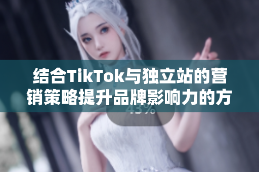 结合TikTok与独立站的营销策略提升品牌影响力的方法分析