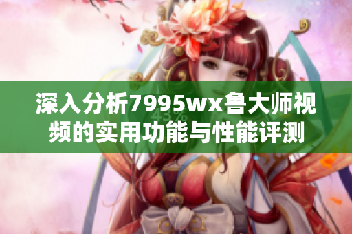 深入分析7995wx鲁大师视频的实用功能与性能评测