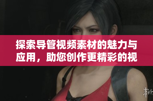探索导管视频素材的魅力与应用，助您创作更精彩的视觉作品