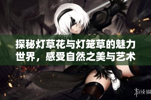 探秘灯草花与灯笼草的魅力世界，感受自然之美与艺术魅力