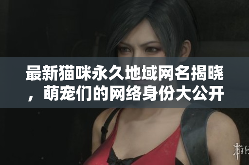 最新猫咪永久地域网名揭晓，萌宠们的网络身份大公开！