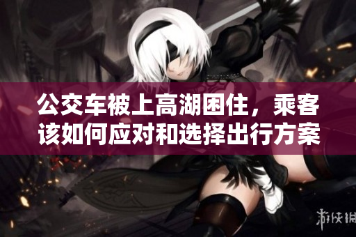 公交车被上高湖困住，乘客该如何应对和选择出行方案