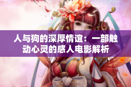 人与狗的深厚情谊：一部触动心灵的感人电影解析